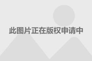“亚洲最高墙绘”亮相杨浦大学路：46米高墙上勾勒城市景观